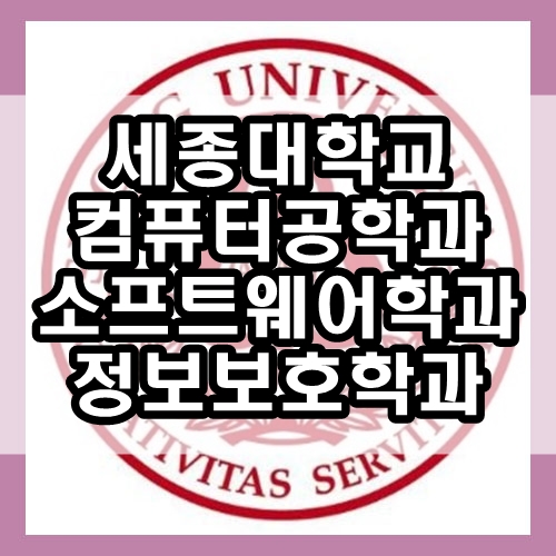 세종대학교 컴퓨터공학과 소프트웨어학과 정보보호학과 : 세종대 sw특기자전형