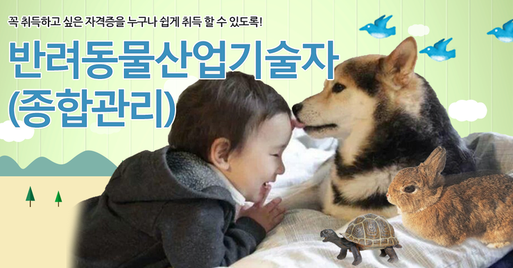  반려동물산업기술자 자격증 취득 쉽게 하기 (주)한국반려동물관리협회