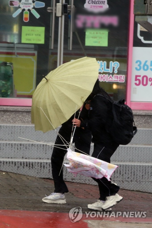 망가진 우산 처리방법, 재활용? 쓰레기?