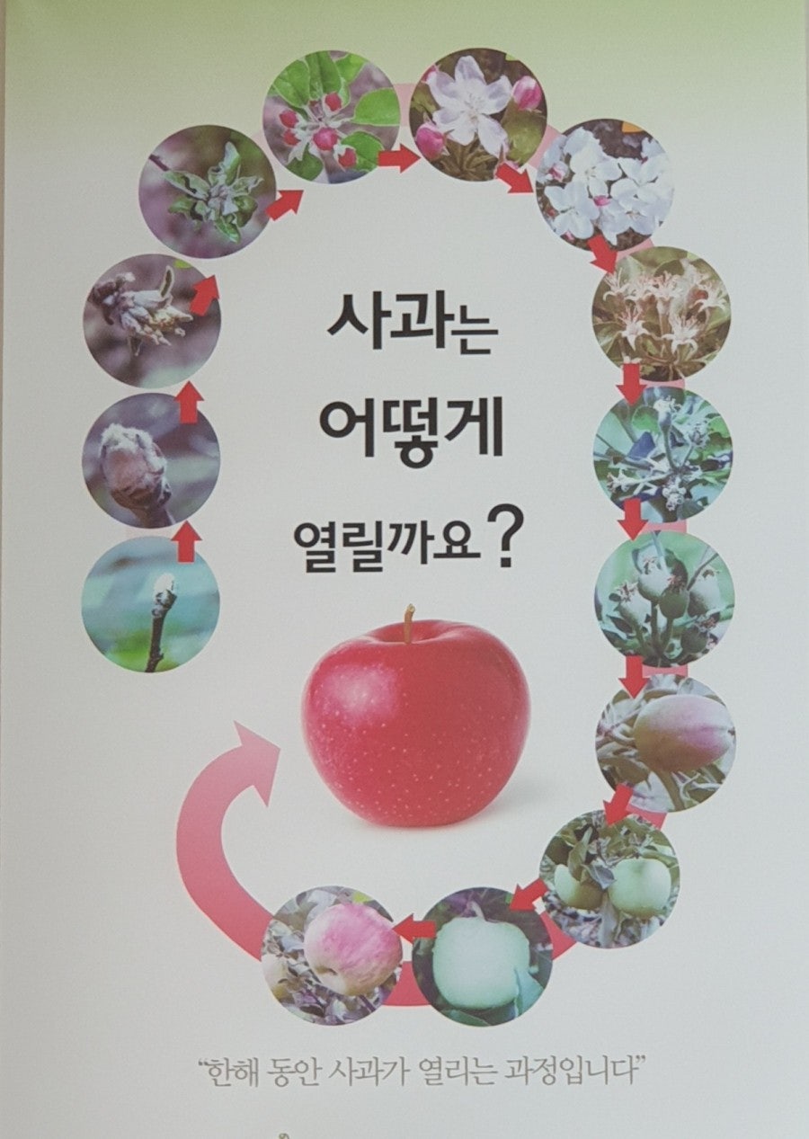 골안골 사진 1