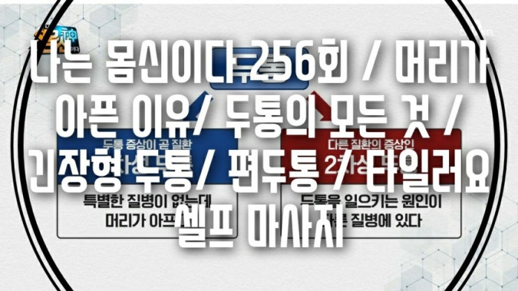  나는 몸신이다 256회 / 머리가 아픈 이유/ 두통의 모든 것 / 긴장형 두통/ 편두통 / 타일러요 셀프 마사지