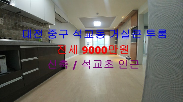  대전 중구 석교동 신축 거실큰 투룸 전세 ! 석교초 인근에 있는 신축 투룸 전세 매물입니다 ^^