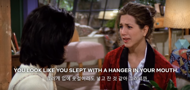 [프렌즈]영어공부하기 #epi_1 You look like you slept with a hanger in your mouth