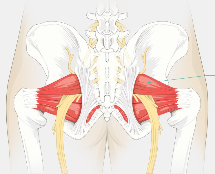 엉덩이와 다리에 통증을 일으키는 이상근증후군(piriformis syndrome)의 원인과 치료법,스트레칭방법은?