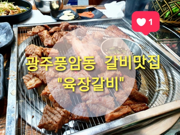  광주풍암동 갈비맛집 "육장갈비" (광주갈비맛있는곳, 이베리코,국내산돼지갈비)
