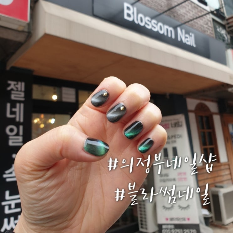 의정부네일샵 의정부 블라썸네일/2019 겨울 유행 네일 오로라네일 자석네일!