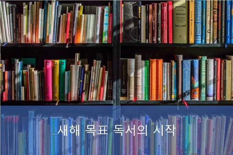 (새해 목표) 독서의 시작. 책장 정리 및 활용 (새해 목표) 독서의 시작. 책장 정리 및 활용