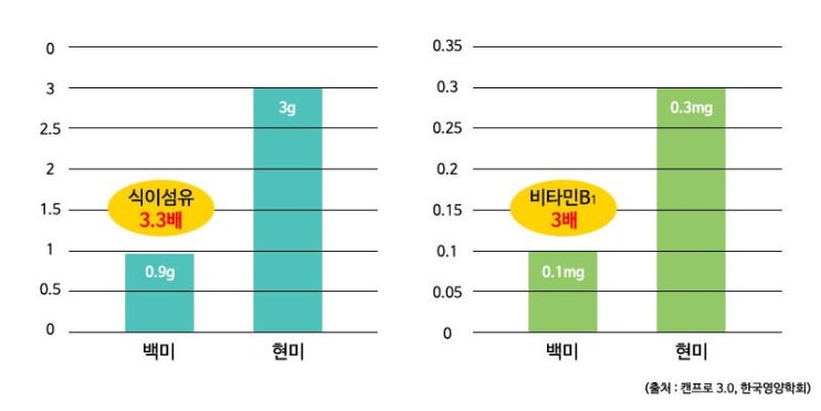 건강은균형있는식단에서시작합니다