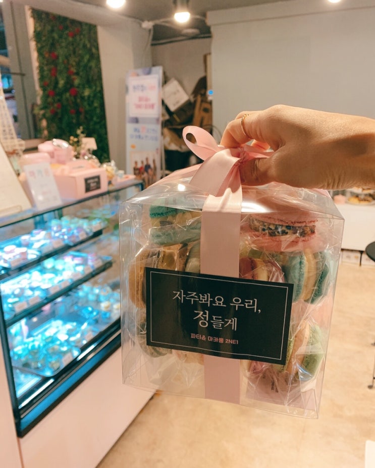  창원 마카롱 '파티윤' / 창원 가로수길 카페, 창원 용호동 카페