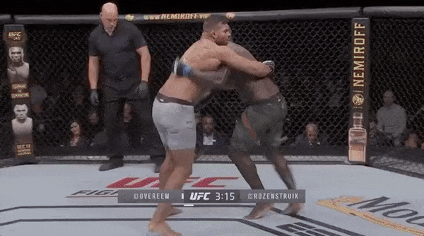 UFC 워싱턴 : 오브레임 vs 자이르지뉴 피니시 영상(GIF) 및 뒷얘기