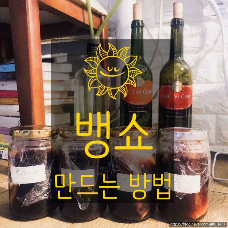  자취요리: 천연감기약 뱅쇼 만들기 (feat.효능,도수)