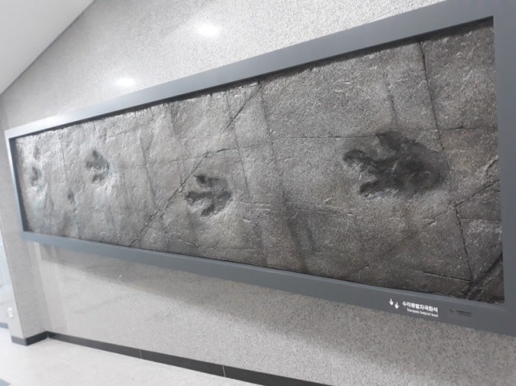  진주 익룡 발자국 전시관, 진주 공룡 전시관, 경남 진주 가볼 만한 곳,