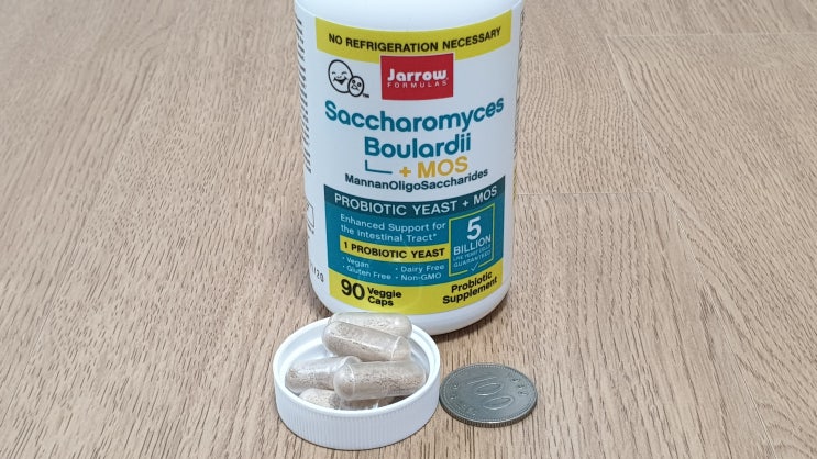 쿠마] 사카로미세스 보울라디 리뷰 (Saccharomyces Boulardii)