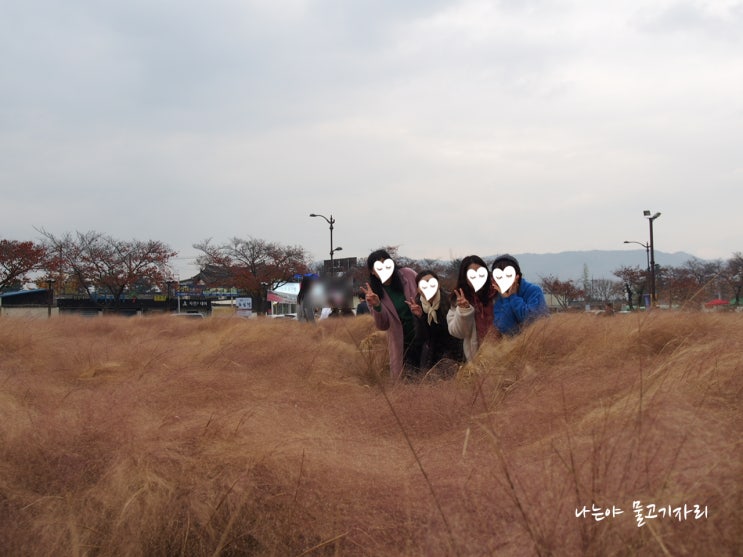  경주 2박3일 주말여행 3일차 :: 운수대통닭갈비(점심), 대릉원, 첨성대 경주핑크뮬리