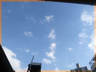  쉿! 씨크릿 감사일기 19일