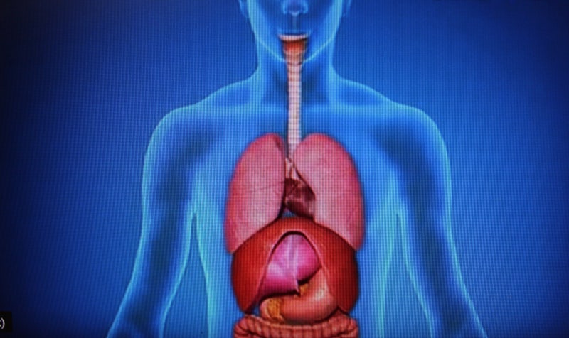 신경성 위염 과민 반응을 보이는 몸 상태