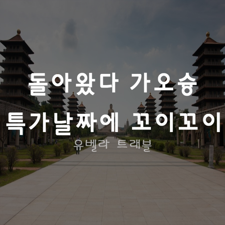  [특가][부산출발] 대만 가오슝 타이난 패키지 여행 12월 1월 특가 에어부산
