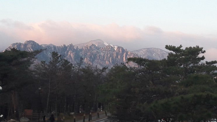 #소원을 말해봐