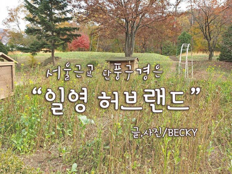  서울 근교 나들이 가볼 만한 곳 단풍 구경 일영 허브랜드