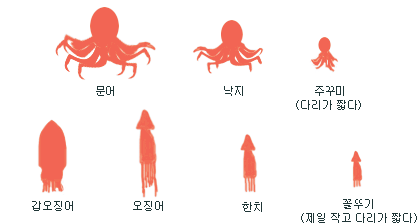  진형민의 <꼴뚜기>
