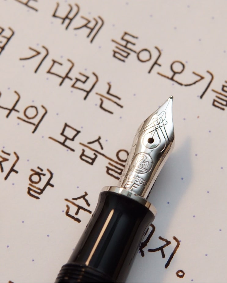  너를 향한 마음 (펠리칸 M405 슈트레제만 ef닙)