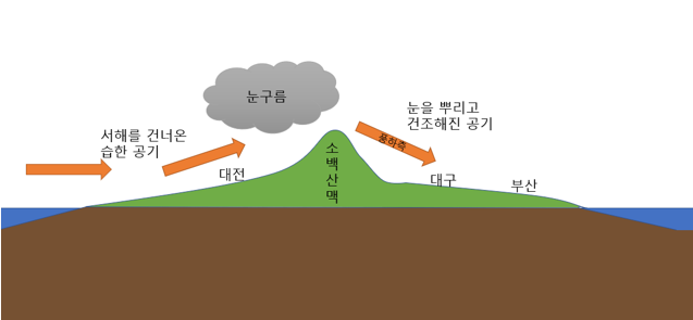 눈에 보이는 프렌치 브레이드 단계별 다이어그램