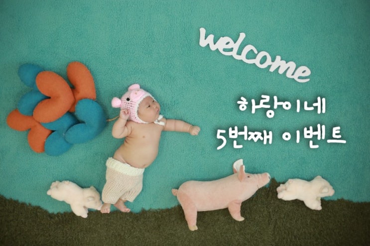  [이벤트]하랑이의 100일을 축하해주세요 (~01.16/발표 01.18)