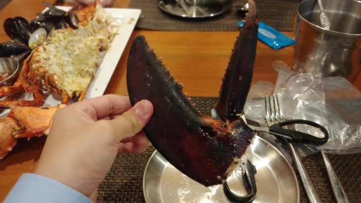  광교 사치스러운 회식 봉마르켓에서 랍스터 정복하기!!