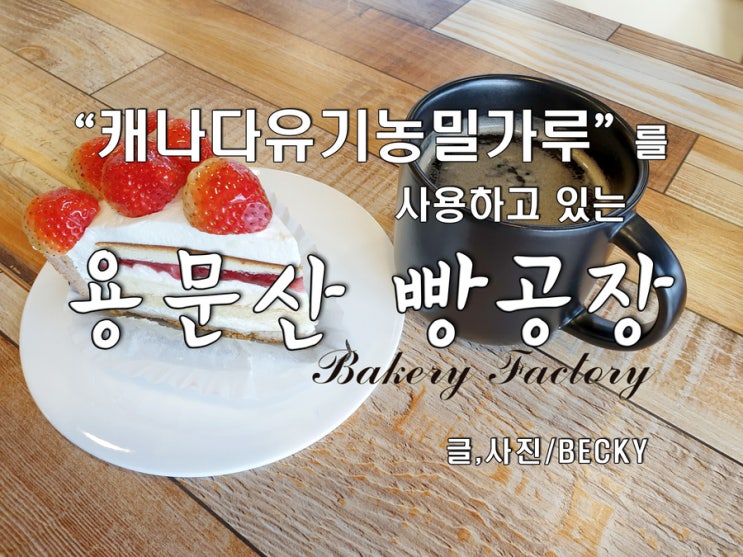  양평 유기농 베이커리 카페 용문산 빵 공장
