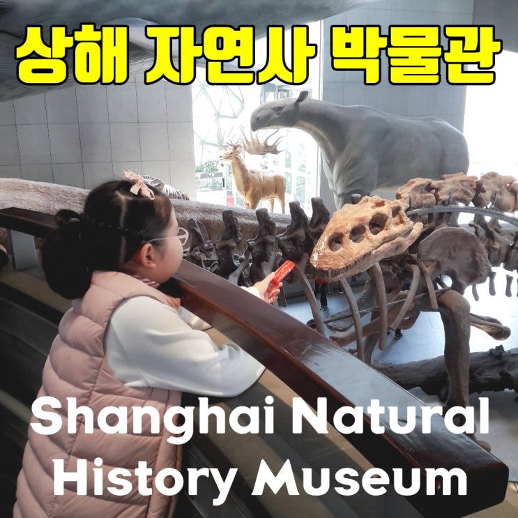  상해 자연사박물관, 상해 여행의 필수 코스 아이와 함께 가볼만한곳