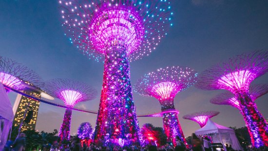 [싱가포르] 가든스바이더베이, 슈퍼트리쇼와 즐기는 한 여름밤의 꿈