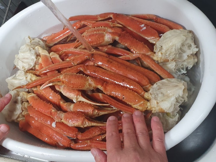 대게 싸게 먹는법(부산명란 스노우크랩) 대게 싸게 먹는법(부산명란 스노우크랩)