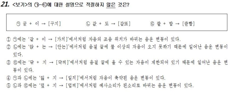  국어-화작문11(음운)
