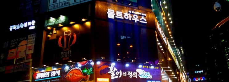  배곧 분위기 좋은 수제맥주 펍 :: 몰트하우스