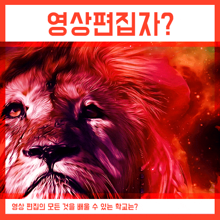  영상편집자 되는법을 배우고 싶다면!