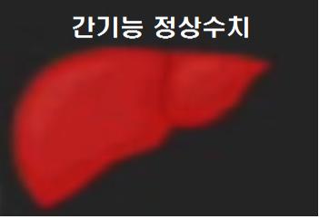  간기능 정상수치 상식