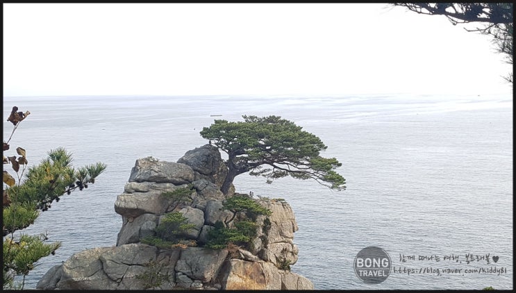  [2019년 11월] 속초,삼척 4박5일 여행 - 4일차 (하조대,삼척쏠비치,환선굴,삼척전복뚝배기,바다페카페)