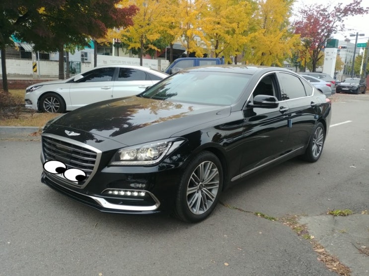  제네시스 G80 럭셔리 AWD 중고차시세