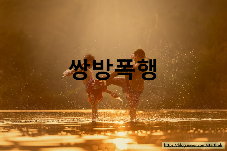  쌍방폭행(공동상해/공동폭행) 기소유예, 약식기소 - 민사 손해배상