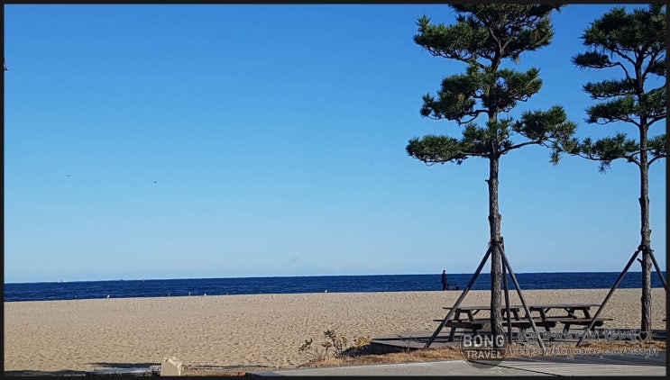  [2019년 11월] 속초,삼척 4박5일 여행 - 3일차 (낙산사,칠성조선소,정든식당,쉴만한물가)