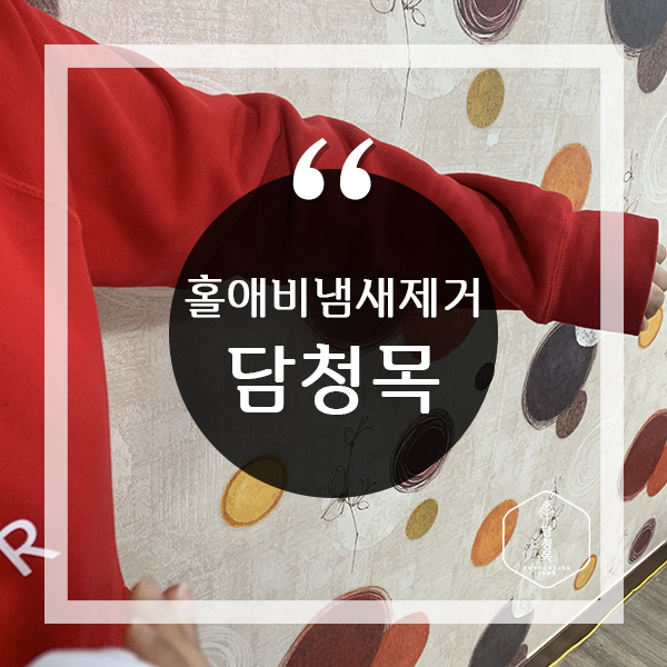  홀애비냄새 제거 할 때 담청목 필수!