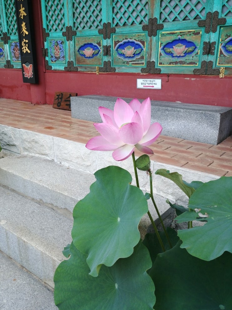  배고파 밥줘