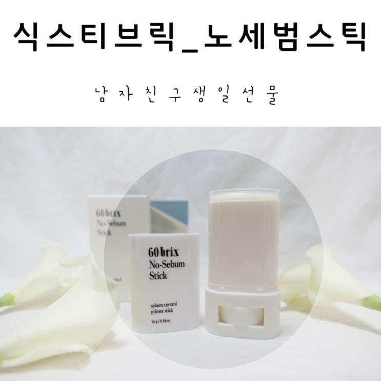  남자친구생일선물  추천! 식스티브릭 노세범스틱