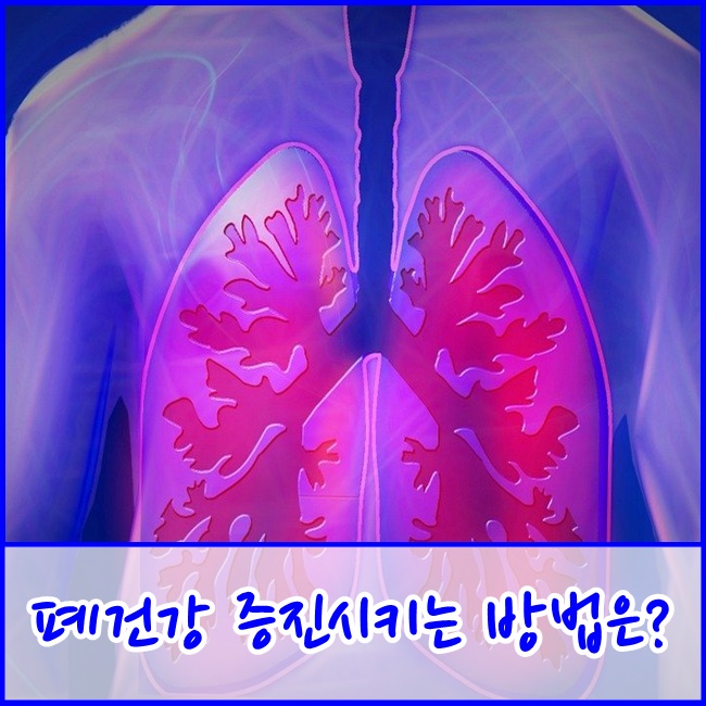 [파주운정주간보호센터] 폐건강을 증진시키는 방법 6가지