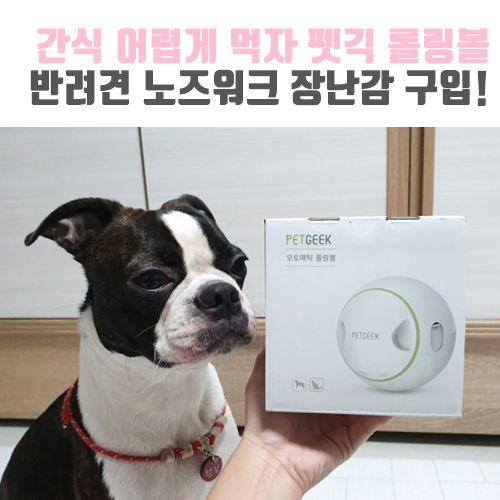  [보보일기/펫긱] 간식도 어렵게 먹자 오토매틱 롤링볼 반려견 노즈워크 장난감 구입후기!