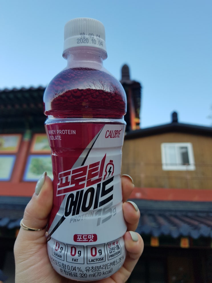  간편하게 섭취하는 프로틴 맛집 칼로바이 프로틴 에이드