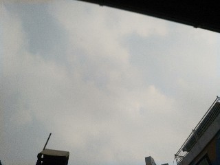  쉿! 씨크릿 감사일기 20일
