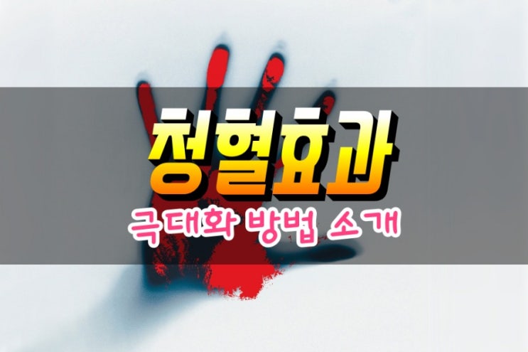  피를 깨끗히 만드는 방법