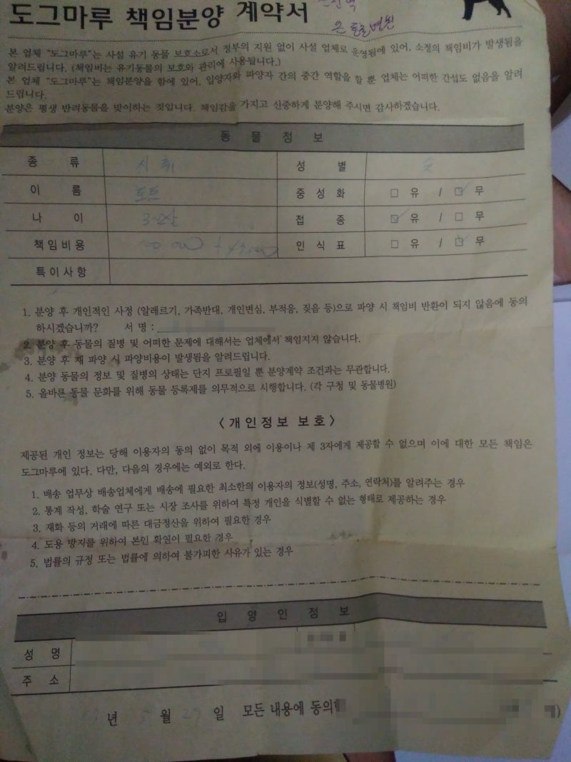 유기견 강아지 입양한지 2년. 토토야 우리 가족이 되어줘서 고마워! : 네이버 블로그 유기견 강아지 입양한지 2년. 토토야 우리 가족이 되어줘서 고마워! : 네이버 블로그