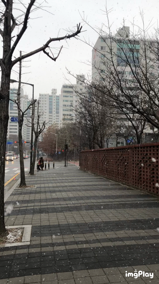  2019.12.01 - 12.08 짧은 일상